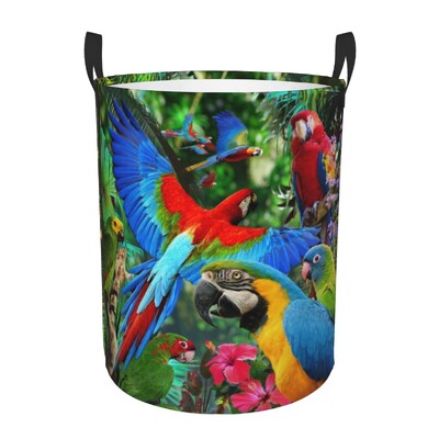 Coș de rufe personalizat, drăguț, papagali tropicali, păsări, coș de rufe cu capacitate pliabilă, coș de depozitare pentru îmbrăcăminte, Cockatiel Macaw Papagal, coș pentru copii