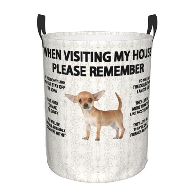 Žvilgčiojantis šuo Džeko Raselio terjeras Skalbinių kliūtis Didelis sandėliavimo krepšelis Naminiai gyvūnai Vaikai Darželio Žaislų Organizatorius