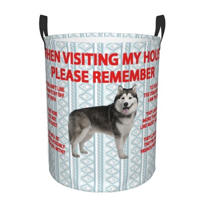 Žvilgčiojantis šuo Džeko Raselio terjeras Skalbinių kliūtis Didelis sandėliavimo krepšelis Naminiai gyvūnai Vaikai Darželio Žaislų Organizatorius