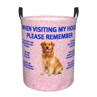 Žvilgčiojantis šuo Džeko Raselio terjeras Skalbinių kliūtis Didelis sandėliavimo krepšelis Naminiai gyvūnai Vaikai Darželio Žaislų Organizatorius