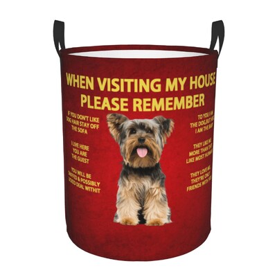 Žvilgčiojantis šuo Džeko Raselio terjeras Skalbinių kliūtis Didelis sandėliavimo krepšelis Naminiai gyvūnai Vaikai Darželio Žaislų Organizatorius