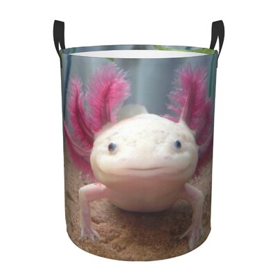 Slatka košara za rublje Axolotl, sklopiva igračka daždevnjak, korpa za odjeću, posuda za odlaganje za dječju sobu
