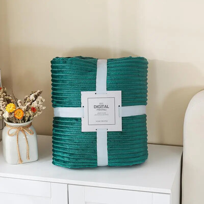 Fliisist voodikatted voodikatted Diivani tekk Viskade tekid Palus ühevärviline pehme pleed