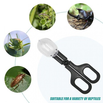 Insect Catcher Portable Pest Control Tortoise Lizard Frog Spider Crawler Clip Φιλικό προς το περιβάλλον Field Garden Traps Προμήθειες κήπου