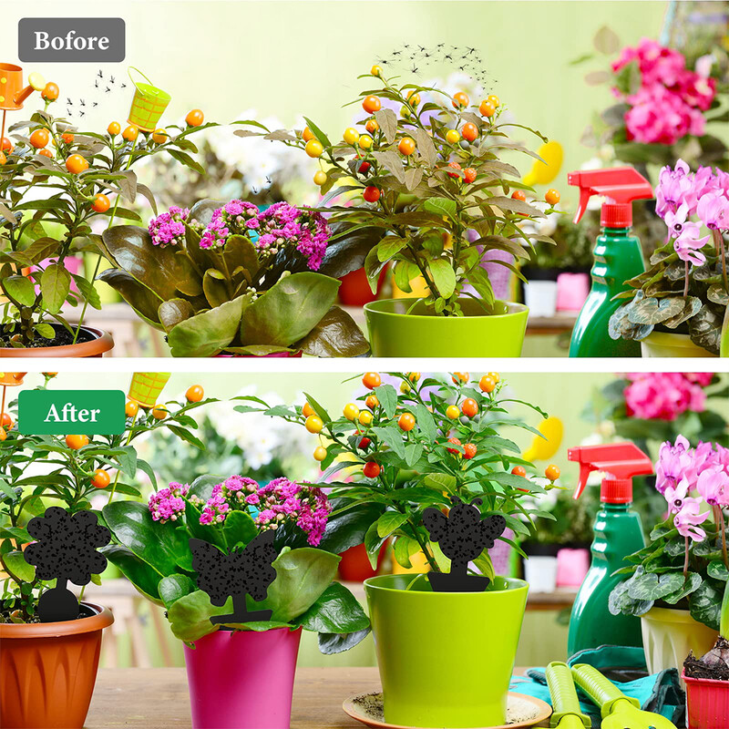 60 vnt. Juodos lipnios musių gaudyklės vabzdžių gaudyklės Dvipusės musių gaudyklės augalų kenkėjų kontrolės Stiprūs klijai amarams uodams