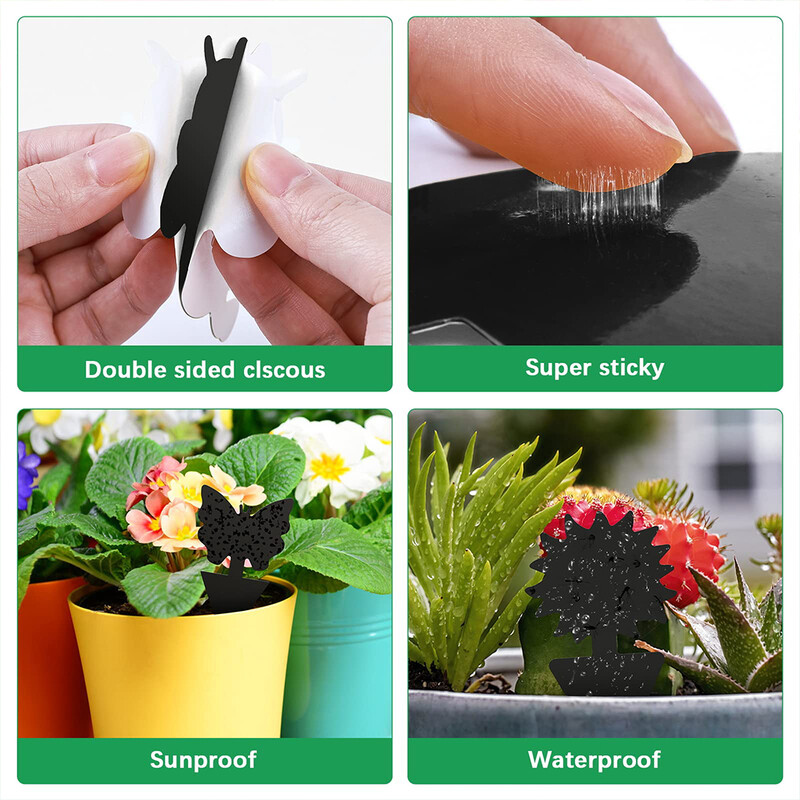 60 vnt. Juodos lipnios musių gaudyklės vabzdžių gaudyklės Dvipusės musių gaudyklės augalų kenkėjų kontrolės Stiprūs klijai amarams uodams