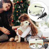 Kirpulõksu nakatumise loomulik ravimeetod Jäädvustage lemmikloomasõbralikku valgust kleepuva padjanditapjaga siseruumides lutikate liimiketta putuka jaoks