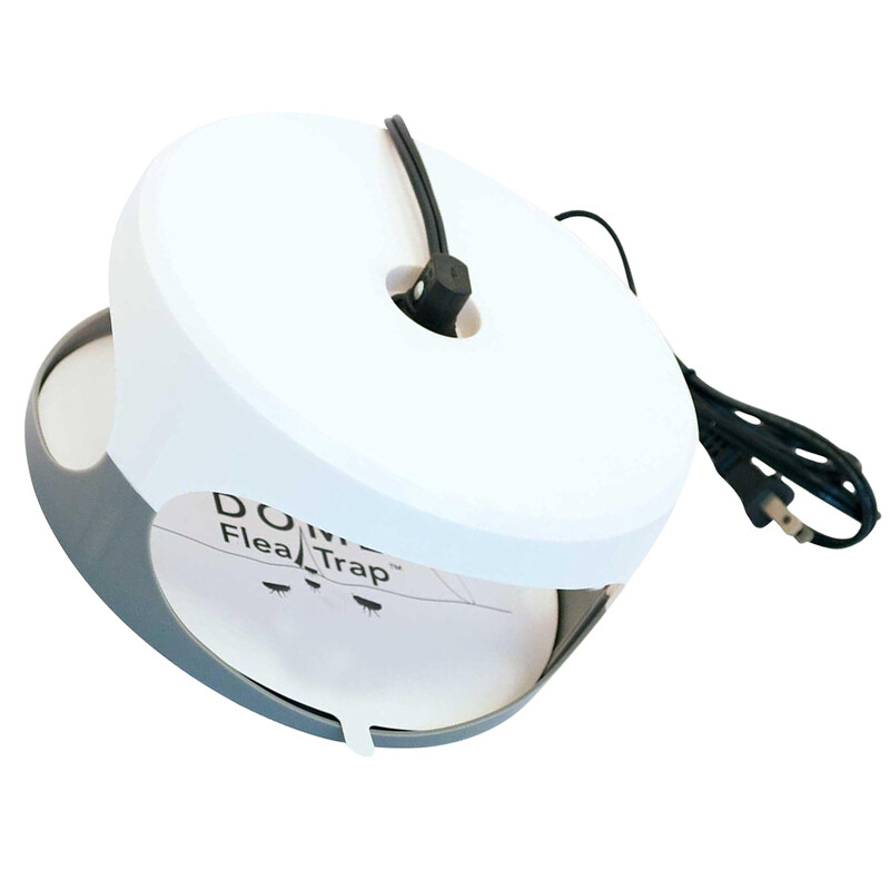 Kirpulõksu nakatumise loomulik ravimeetod Jäädvustage lemmikloomasõbralikku valgust kleepuva padjanditapjaga siseruumides lutikate liimiketta putuka jaoks