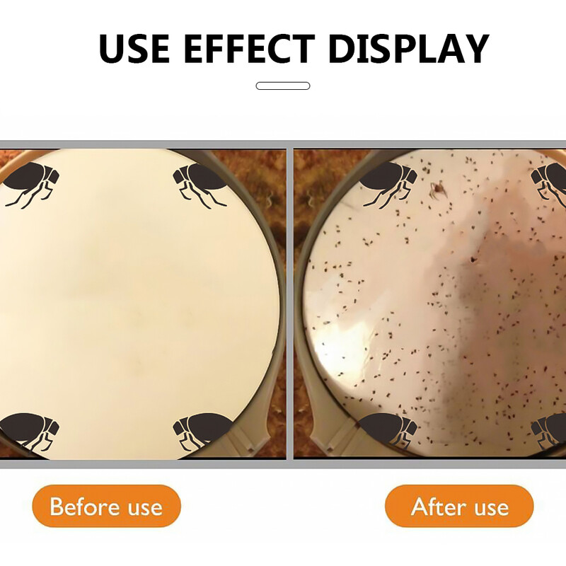 Kirpulõksu nakatumise loomulik ravimeetod Jäädvustage lemmikloomasõbralikku valgust kleepuva padjanditapjaga siseruumides lutikate liimiketta putuka jaoks