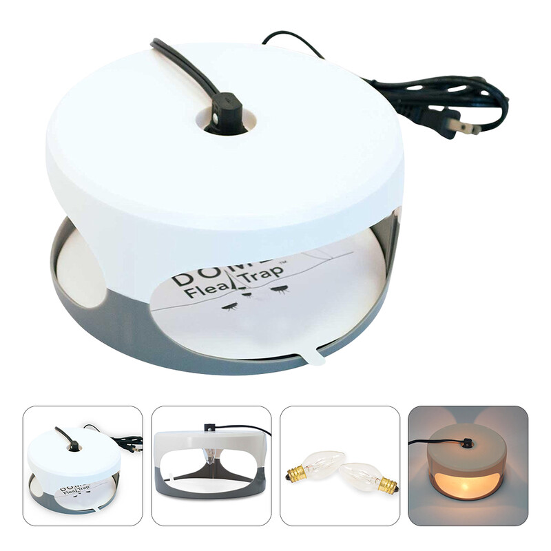 Kirpulõksu nakatumise loomulik ravimeetod Jäädvustage lemmikloomasõbralikku valgust kleepuva padjanditapjaga siseruumides lutikate liimiketta putuka jaoks