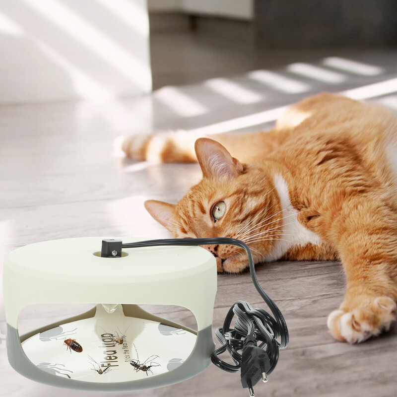 Kirpulõksu nakatumise loomulik ravimeetod Jäädvustage lemmikloomasõbralikku valgust kleepuva padjanditapjaga siseruumides lutikate liimiketta putuka jaoks