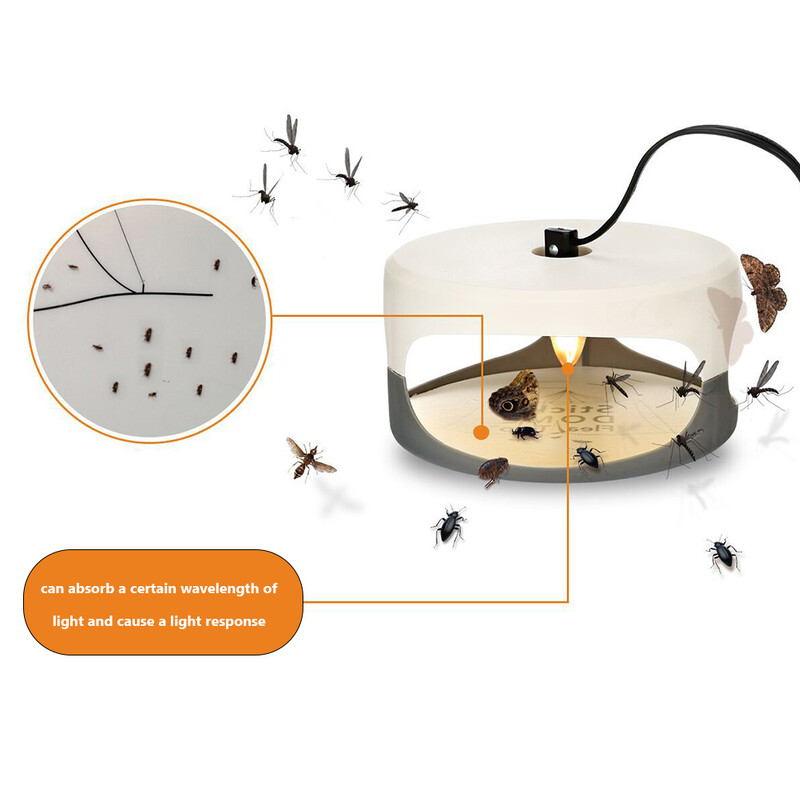 Kirpulõksu nakatumise loomulik ravimeetod Jäädvustage lemmikloomasõbralikku valgust kleepuva padjanditapjaga siseruumides lutikate liimiketta putuka jaoks