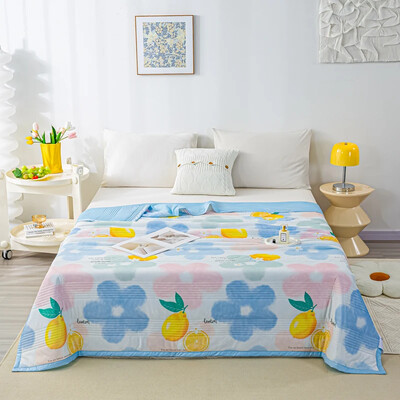 Super Λεπτή κουβέρτα καλοκαιρινής ψύξης Παπλωματοκουβέρτα αναστρέψιμου κρεβατιού Καπιτονέ Coverles Coolles Air Condition Καλοκαιρινό πάπλωμα Κουβέρτα Queen Size