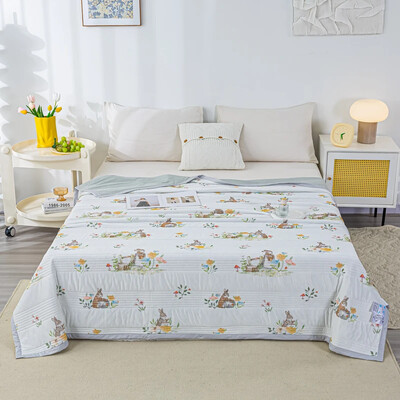 Super Λεπτή κουβέρτα καλοκαιρινής ψύξης Παπλωματοκουβέρτα αναστρέψιμου κρεβατιού Καπιτονέ Coverles Coolles Air Condition Καλοκαιρινό πάπλωμα Κουβέρτα Queen Size