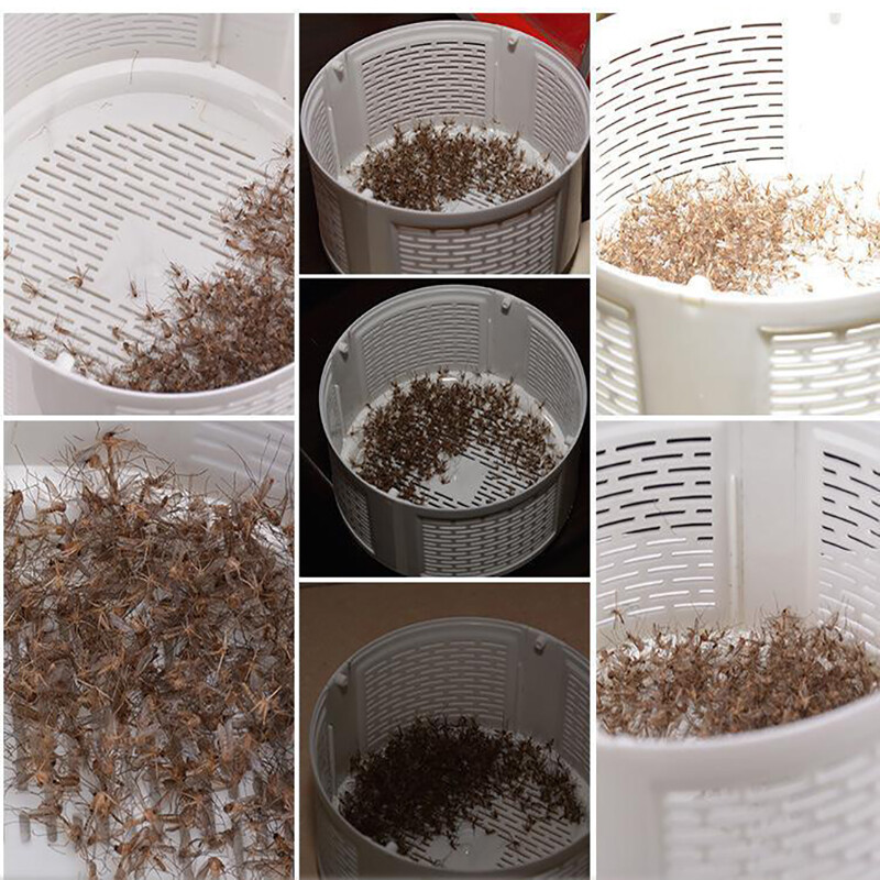 USB maitinama tyli nuo uodų atbaidanti lempa – automatinė, naudojama viduje ir lauke, nereikia baterijų