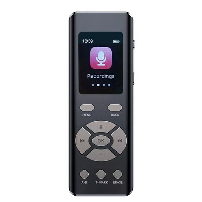 16 GB inteliģents trokšņu samazināšanas balss ierakstītājs ar mikrofonu Augstas precizitātes AB cilpas atskaņošana MP3 2 kanālu stereo ierakstīšana