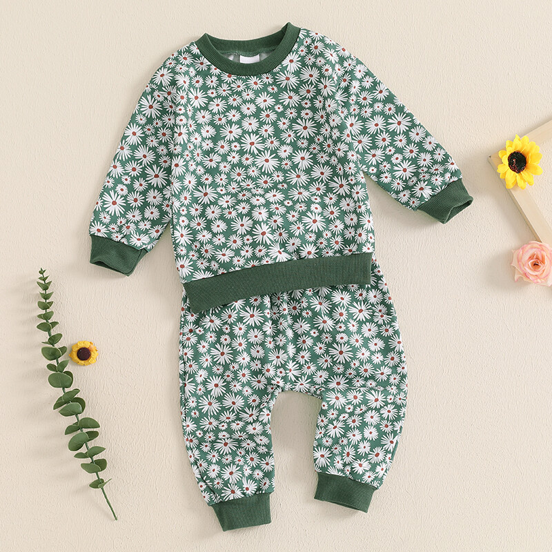 Pudcoco Ținute de toamnă pentru bebeluș fetiță, cu imprimeu floral, cu decolteu, cu mânecă lungă, hanorace și pantaloni lungi, set de haine 2 buc 0-3T