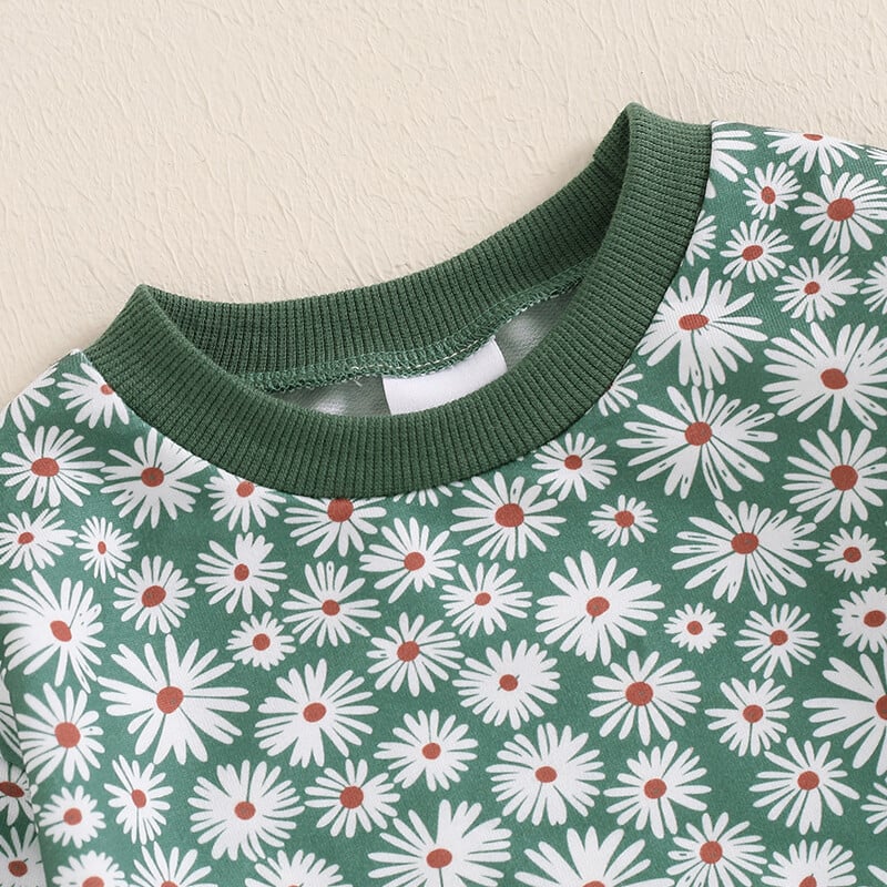 Pudcoco Ținute de toamnă pentru bebeluș fetiță, cu imprimeu floral, cu decolteu, cu mânecă lungă, hanorace și pantaloni lungi, set de haine 2 buc 0-3T