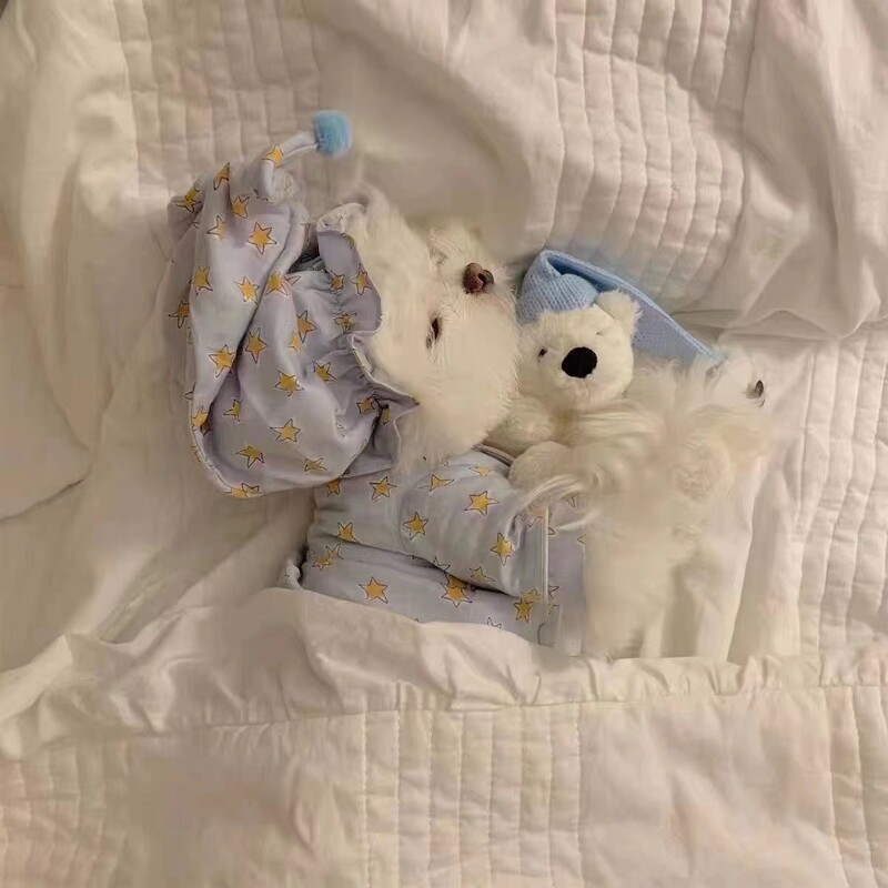 Korean INS Pet Dog Cat Clothes Crtane pidžame Noćna kapa Set Thin Rection Maltese French Dou