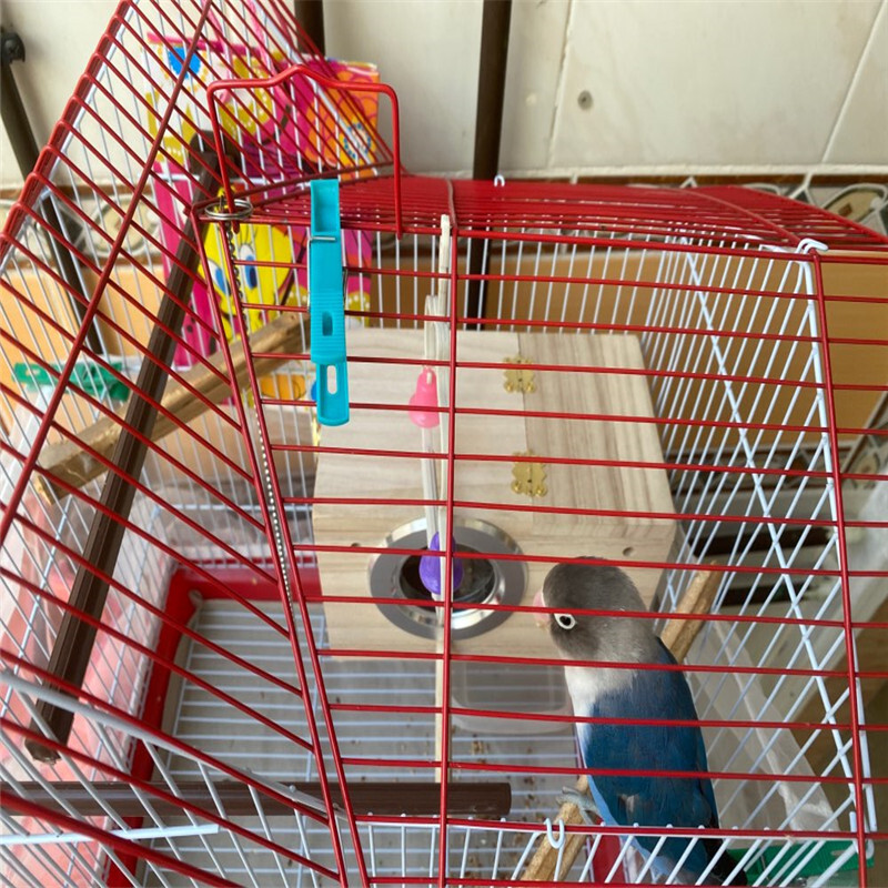 Casă de păsări din lemn Cuibul de reproducere a păsărilor Cutie de reproducere a păsărilor Cuști decorative pentru creșterea papagalilor Accesorii pentru animale de companie Decor pentru balcon