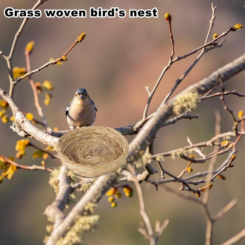 Veisimo lizdas paukščiams Rankomis austas plokščias šiaudinis paukščių lizdas Liukas Paukščių prieglaudos Paukščių narvelių priedai