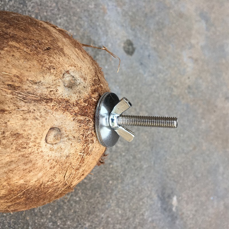 Cochilie de nucă de cocos Jucărie veveriță pentru animale de companie Hamster Veveriță Cuib de reproducere Artizanat Delicat Casă de păsări Pandantiv pentru grădină de curte