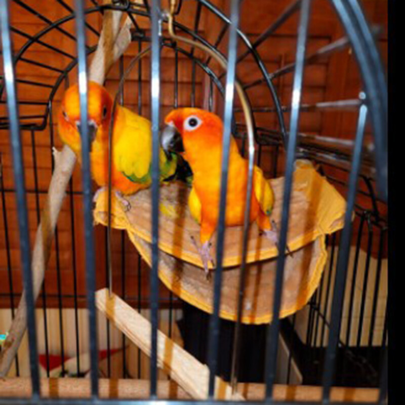 Téli meleg madárfészek házikó kunyhó függő függőágy pinty ketrec plüss bolyhos madarak kunyhó búvóhely papagáj madárketrec-tartozékok számára