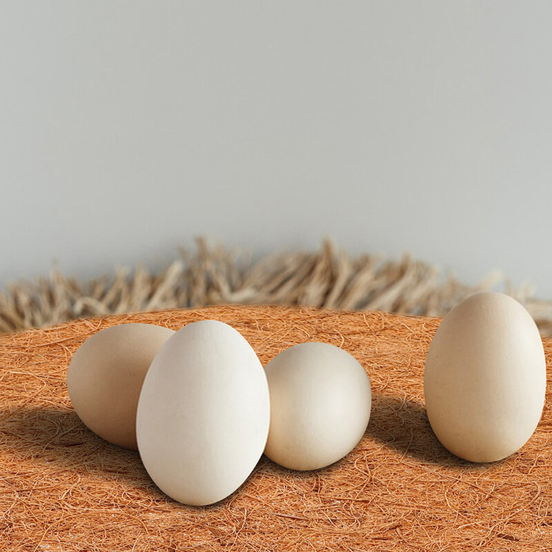 10 vnt. Paukščių narveliai Paukščių narvelio kilimėlis Balandžių veisimo pagalvėlės Natūralūs lizdai, stori, kvėpuojantys šviesiai rudi kokoso pluoštai