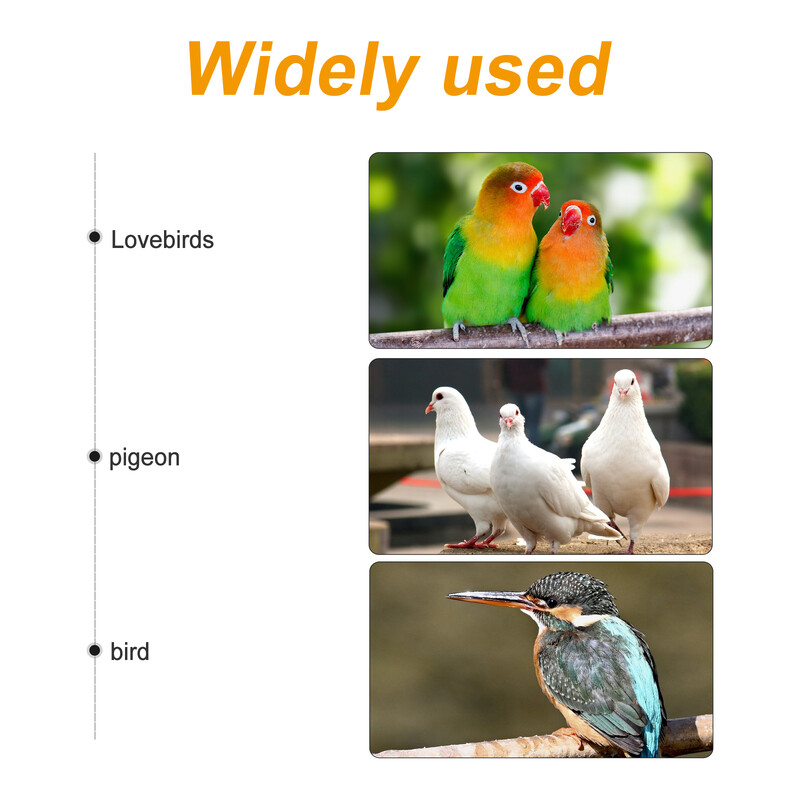 Papagáj tápláló tál Madárketrec-etető madarak etetőeszköze Papagáj konténertálak rozsdamentes acél vízi papagáj-tartozékokhoz