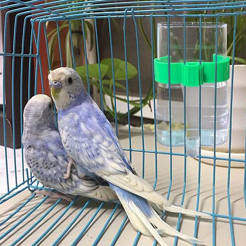 Paukščių šėrimas Girdomas paukštis Aukštos kokybės plastikinis lesyklėlė Maistas Vandens šėrimas Automatinis girtuoklis Papūgos naminių gyvūnėlių dozatorius paukščių ėdalo dėžutė