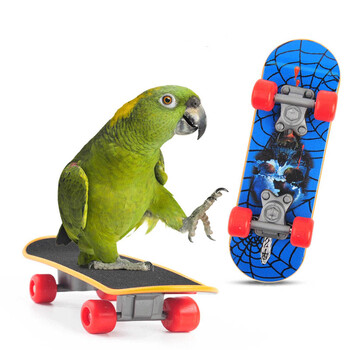 Παιχνίδια εκπαίδευσης πουλιών Αστεία Mini Skateboard Bell Ball Vine Balls Παπαγάλος παζλ Παιχνίδι πνευματικής ανάπτυξης Προμήθειες πουλιών