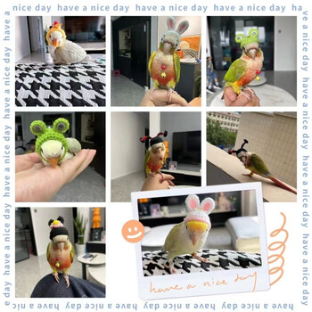 Budgerigar Cockatiel παιωνία Παπαγάλος Πουλί Καπέλο κατοικίδιο ζώο μαλλί βελονάκι Πλεκτό Μικρό Μαλλιά Κασκόλ Κάλυμμα Πουλιά Παιχνίδια