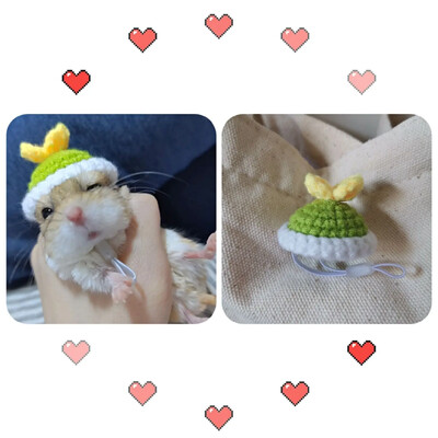 Papūgos papūgos kačiukas Bijūnų papūga paukščių kepurė naminių gyvūnėlių vilnos nėrimo megzti maži plaukų apdangalai, galvos apdangalai, apdangalai, paukščiai, žaislai