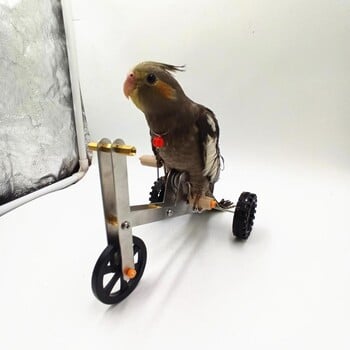 1 Σετ Παιχνίδι Ποδήλατο Εκπαίδευσης Parrot Funny Bird Cockatiel Conure Parakeet Mini Metal 4-Wheels Bike Foot Exercising Toy