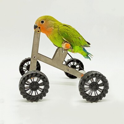 1 szett papagáj oktató kerékpáros játék Vicces madár Cockatiel Conure papagáj mini fém 4 kerekű kerékpáros láb gyakorló oktatójáték