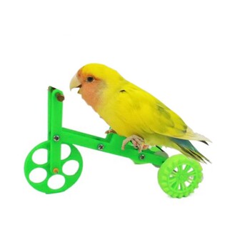 Funny Parrot Bike Παιχνίδι Πουλιά Εκπαίδευση Προμήθειες Παιχνιδιού Εκπαιδευτικά διαδραστικά στηρίγματα για Parakeet Cockatiel Conure Lovebird