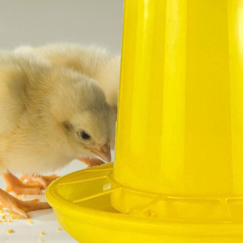 Kis csirkeetető Csirkeetető nagy kapacitású, hulladékmentes csirkeetető Automata csirke-adagoló piknik asztali etető