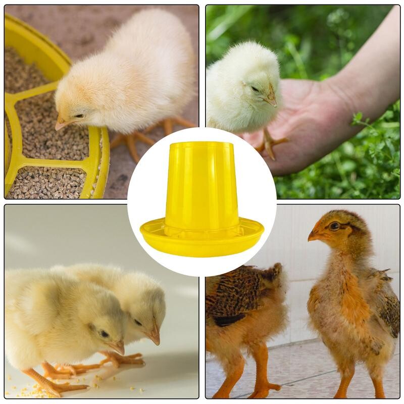 Kis csirkeetető Csirkeetető nagy kapacitású, hulladékmentes csirkeetető Automata csirke-adagoló piknik asztali etető