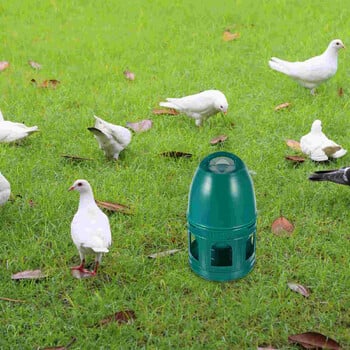 Μπουκάλι νερού Pigeon Drinking Fountain Pet Household Bird Accessories Feeder Πλαστικό μπουκάλι νερού