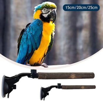 Wood Parrot Perch Prevent Slip Interactive Bird Window Perch Stand με βεντούζες για Small Medium Bird