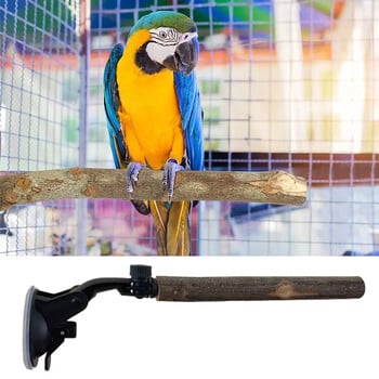 Wood Parrot Perch Prevent Slip Interactive Bird Window Perch Stand με βεντούζες για Small Medium Bird