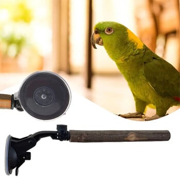 Wood Parrot Perch Prevent Slip Interactive Bird Window Perch Stand με βεντούζες για Small Medium Bird