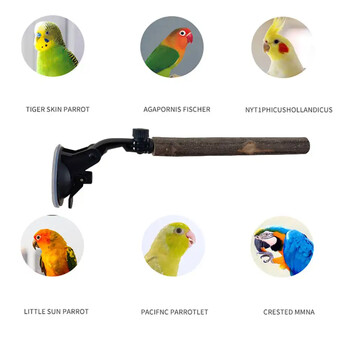 Wood Parrot Perch Prevent Slip Interactive Bird Window Perch Stand με βεντούζες για Small Medium Bird