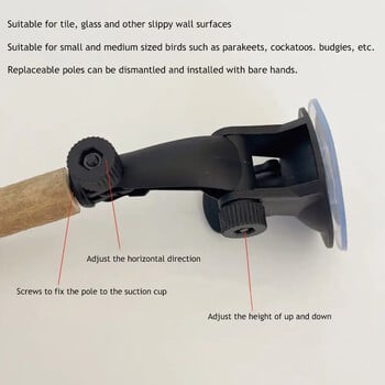 Wood Parrot Perch Prevent Slip Interactive Bird Window Perch Stand με βεντούζες για Small Medium Bird