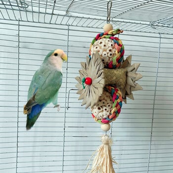 Parrot Toys Bird Chewing Παιχνίδια αναζήτησης τροφής με μίσχους και ρίζες μονά φυτά Αξεσουάρ κλουβιού Παιχνίδια για μάσημα με δόντια