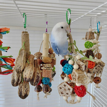 Цветен висящ папагал Птица Molar Toy Статии Parrot Bite Pet Bird Toy for Parrot Swing Bird Swing Biting Toy