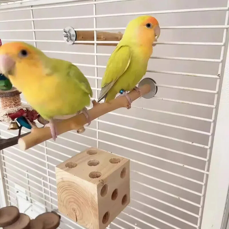 Natūralaus medžio naminių gyvūnėlių papūga žaliavinės medienos šakutės medžio šakelės stovas Voverės paukščio žiurkėno šakelė Ešeriai kramtyti kąsnelius žaislai