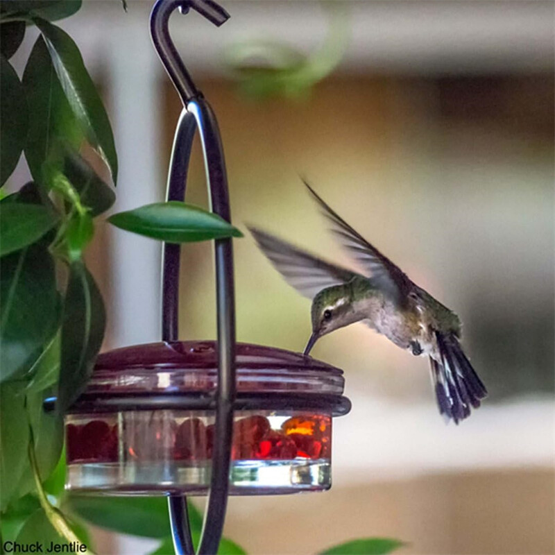 Hummble Slim Hummingbird Feeder Kovové kŕmidlo pre kolibríky Závesné kovové kŕmidlo pre kolibríky Okrúhle kŕmidlo pre kolibríky