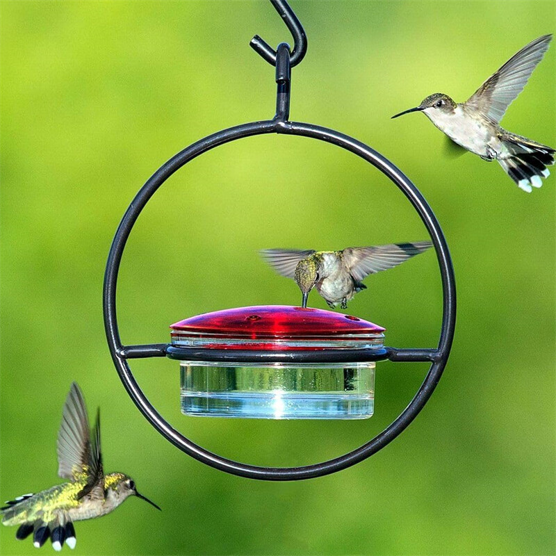 Hummble Slim Hummingbird Feeder Kovové kŕmidlo pre kolibríky Závesné kovové kŕmidlo pre kolibríky Okrúhle kŕmidlo pre kolibríky