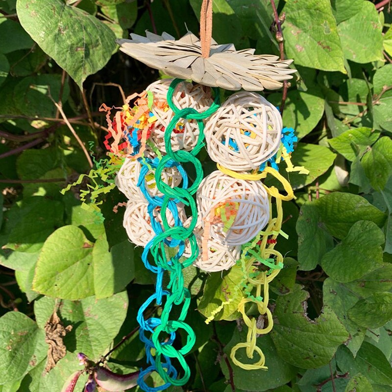 Papūgos kabantys kramtomieji žaislai su natūralių palmių lapų rotango rutuliais, susmulkintais pašarų ieškojimo žaislas mažiems vidutiniams papūgos paukščiams